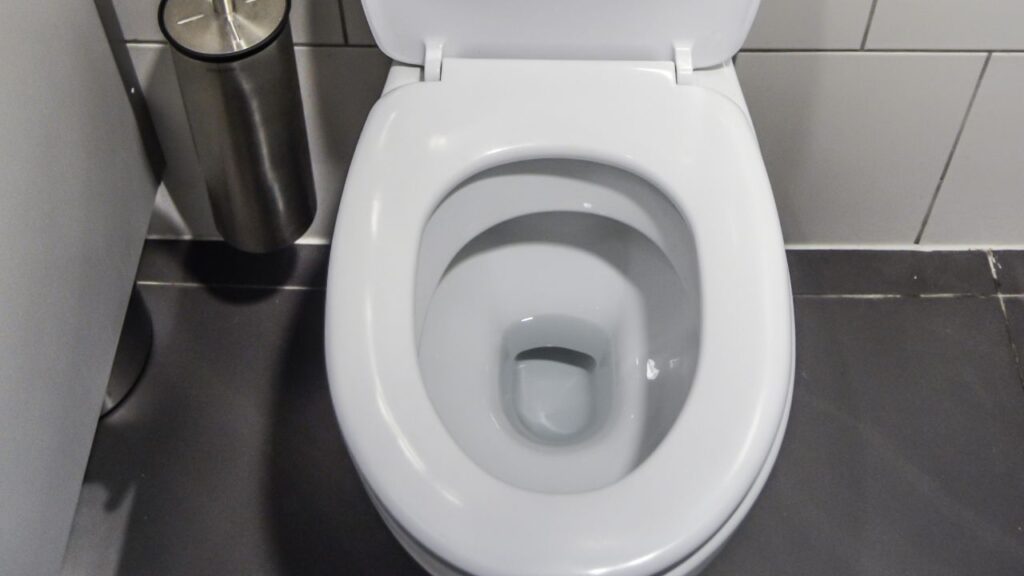 Common reasons your toilet is flushing slow