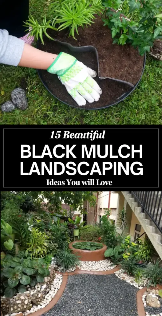 Black mulch landscaping 3