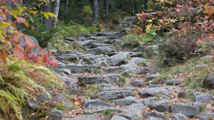 Build a Rocky Pathway