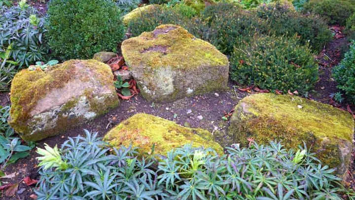 Decorate with Large Rocks