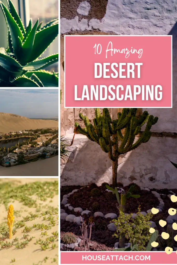 Desert Landscaping