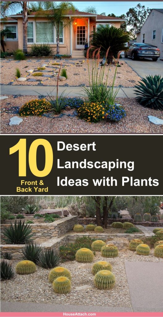 Desert Landscaping Ideas with Plants