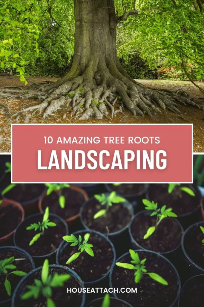 Landscaping Ideas Around Tree Roots 1