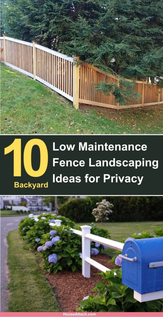 Low Maintenance Fence Landscaping Ideas for Privacy