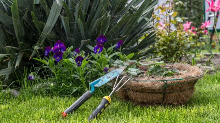 Remove Weeds and Debris from Your Garden