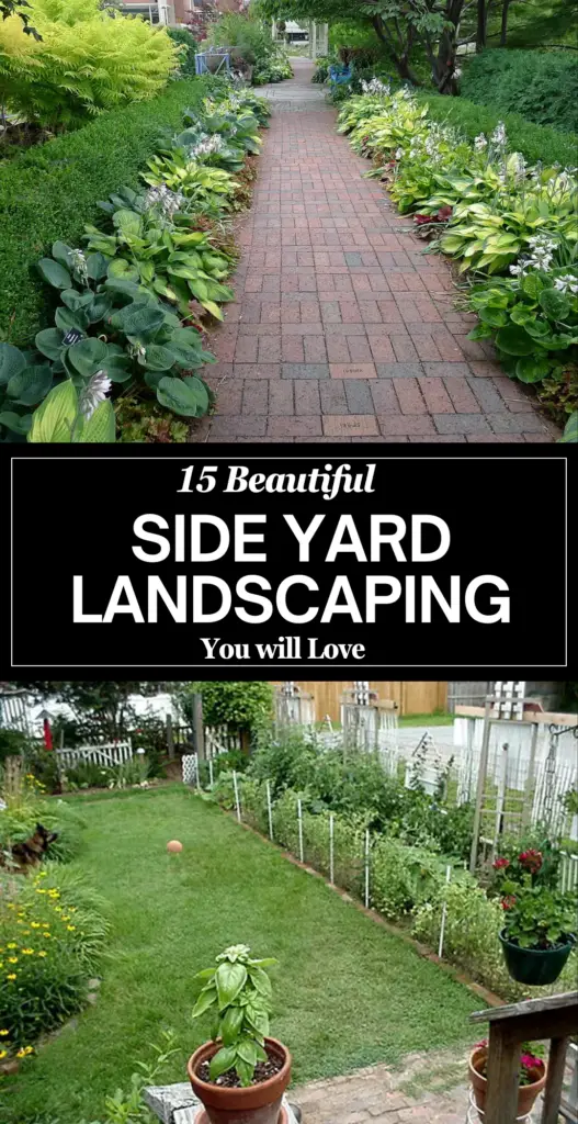 Side yard landscaping 1