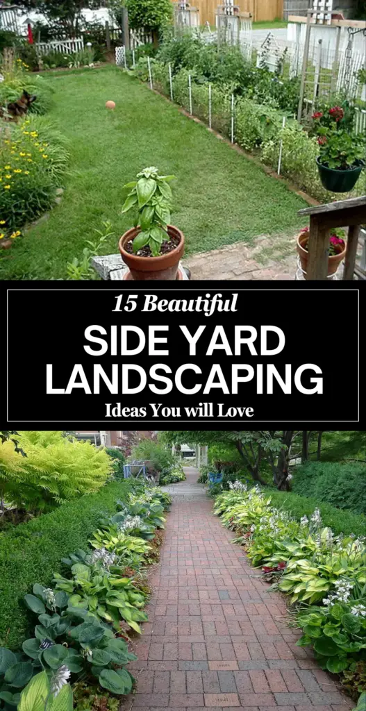 Side yard landscaping 2