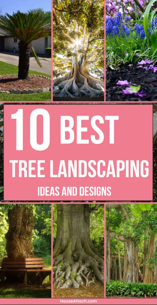 Tree Landscaping Ideas