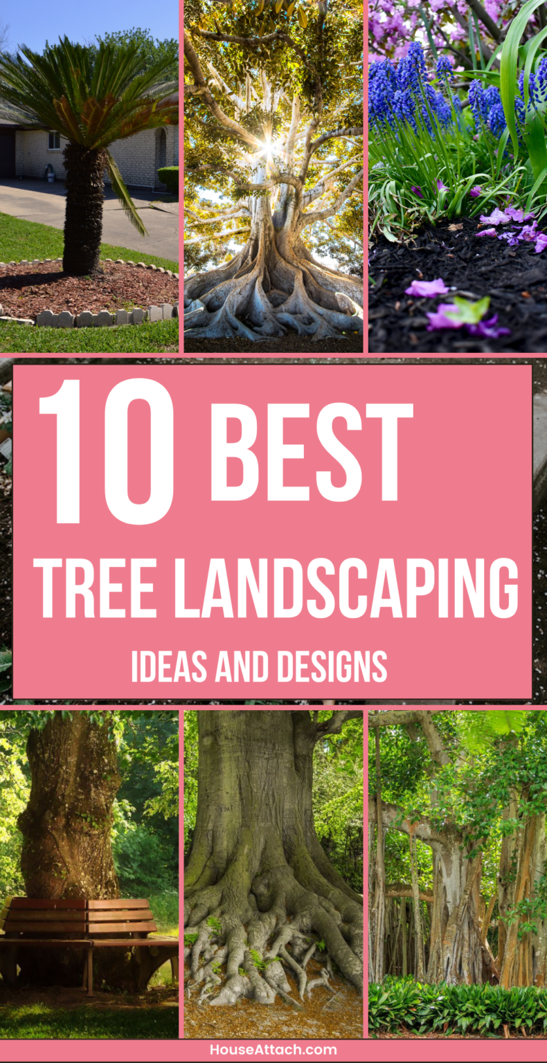 22 Creative Landscaping Ideas Around Tree Roots