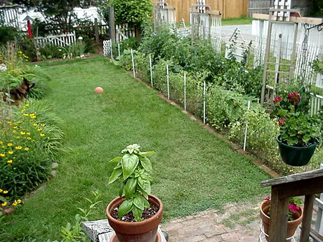 backyard side garden