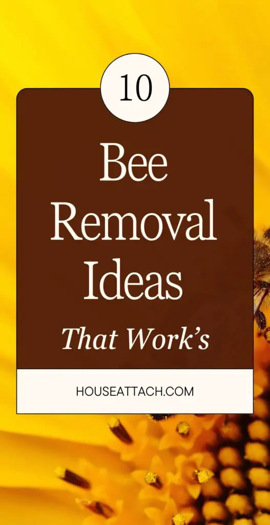 bee removal ideas