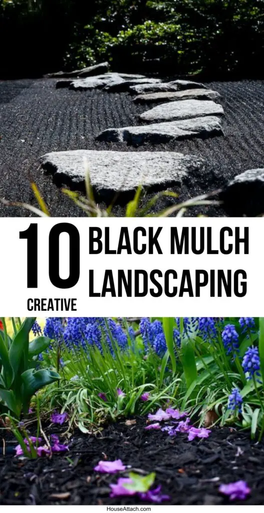 black mulch landscaping