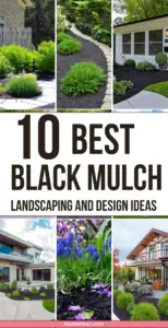 15 Best Black Mulch Landscaping Ideas