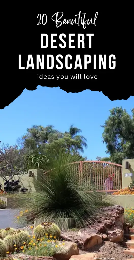 desert landscaping 1 1