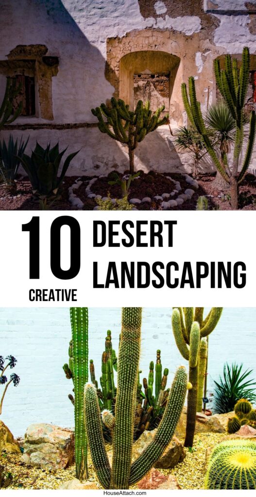 desert landscaping