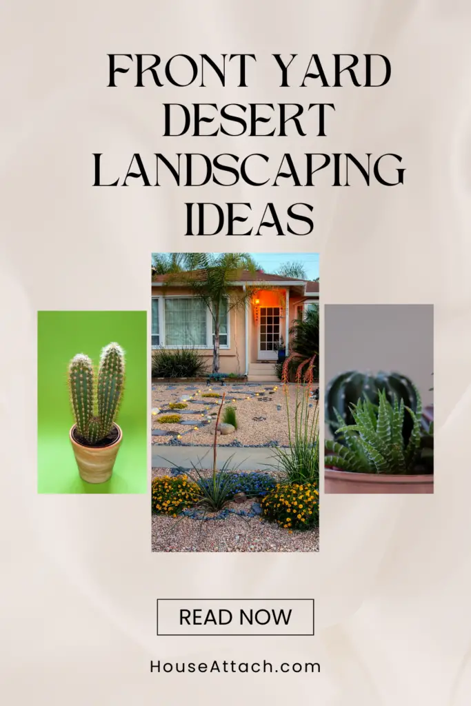 front yard desert landscaping ideas