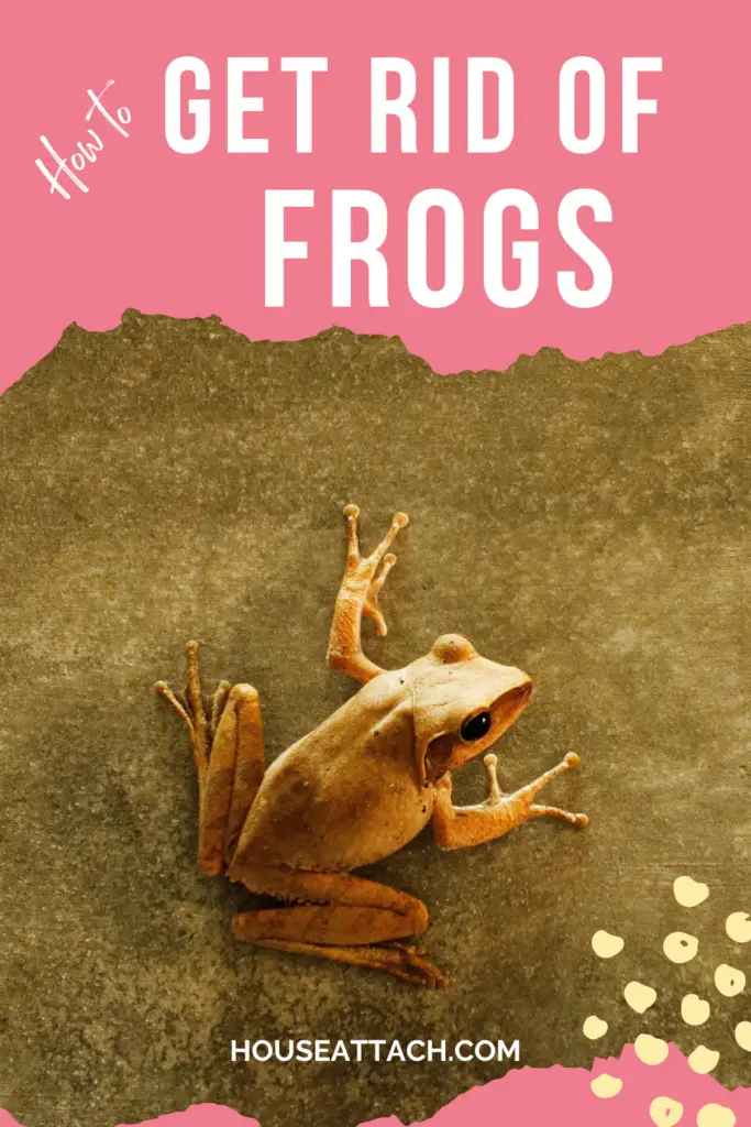 how to get rid of frogs in the yard