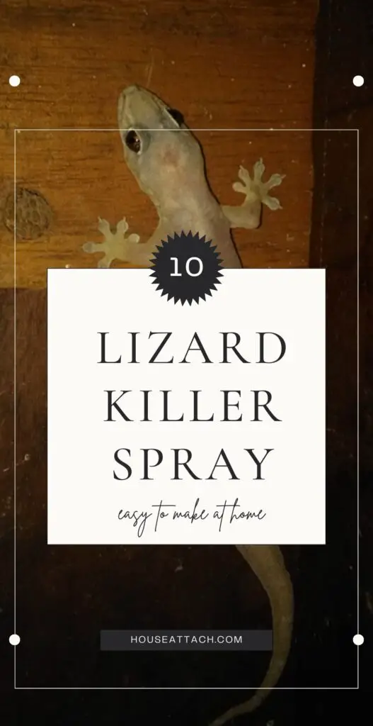 lizard killer spray