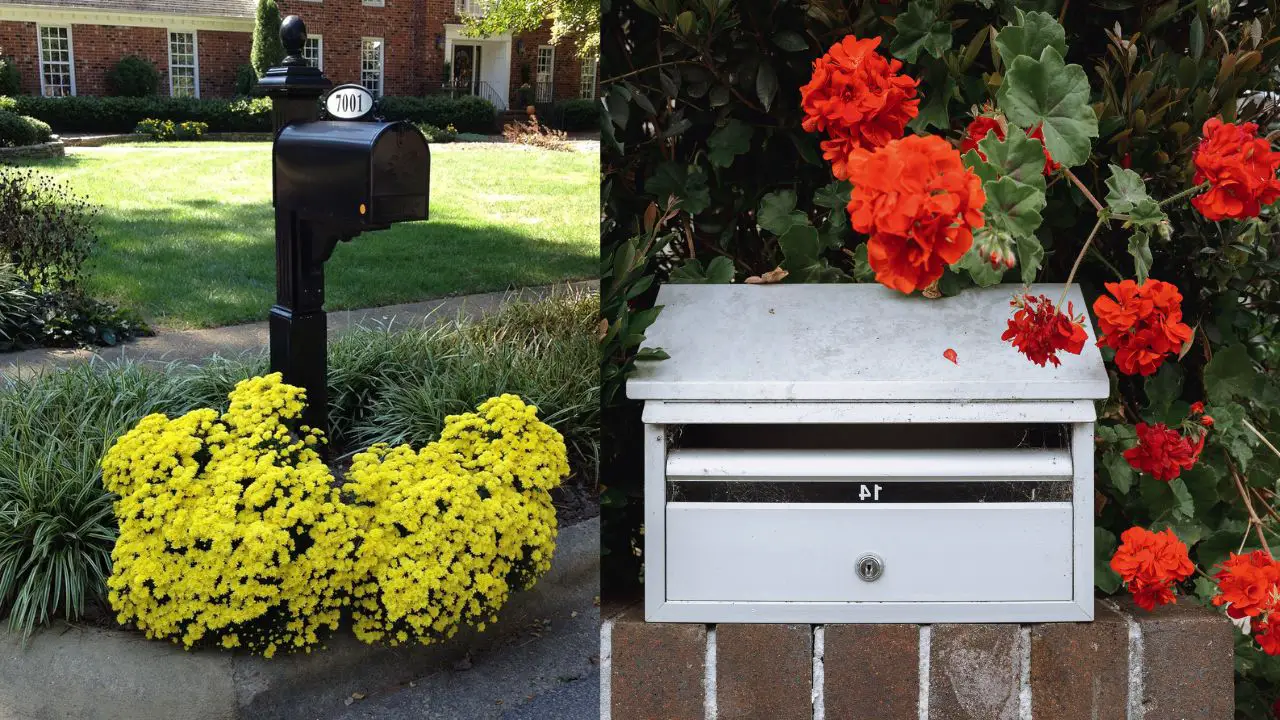 mailbox landscaping ideas