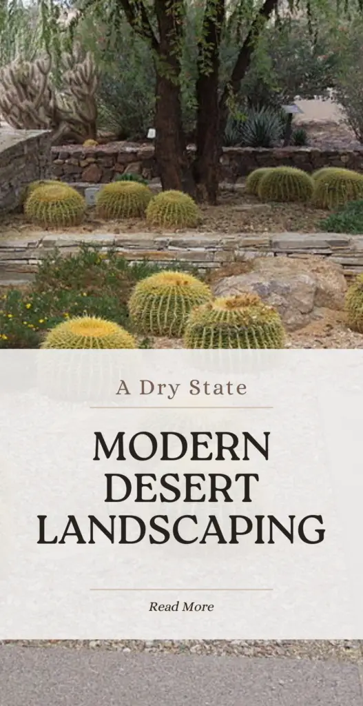modern desert landscaping