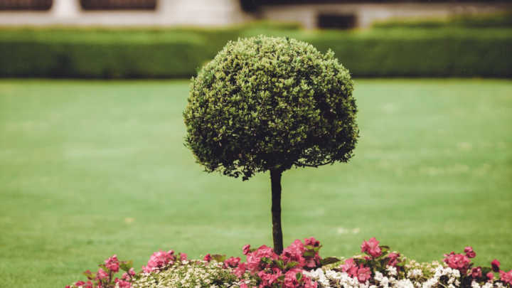 modern landscaping ideas with garden design tips