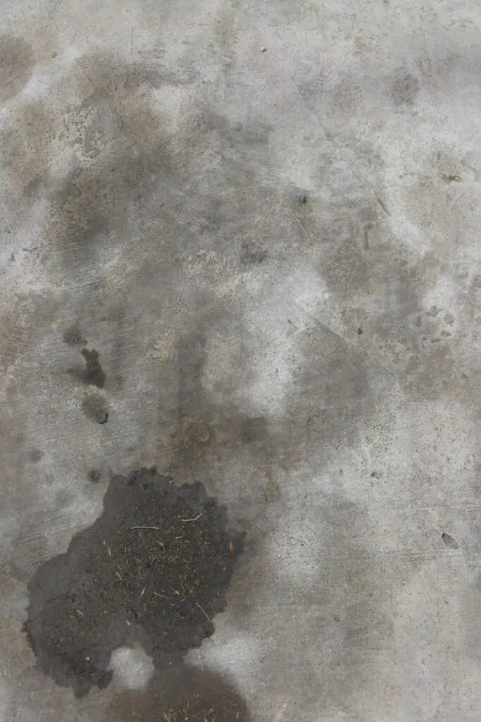 oil stains on driveway