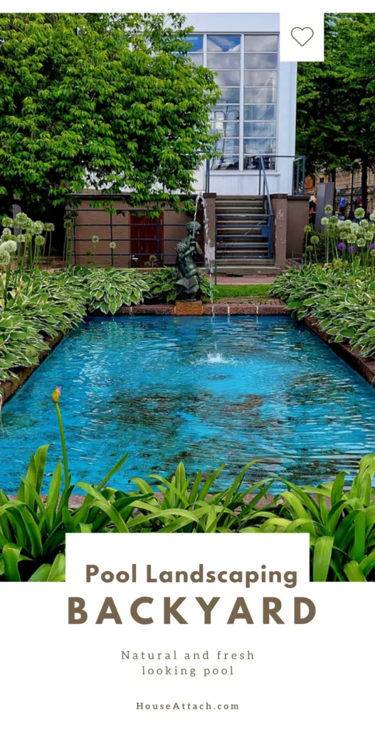 pool landscaping backyard