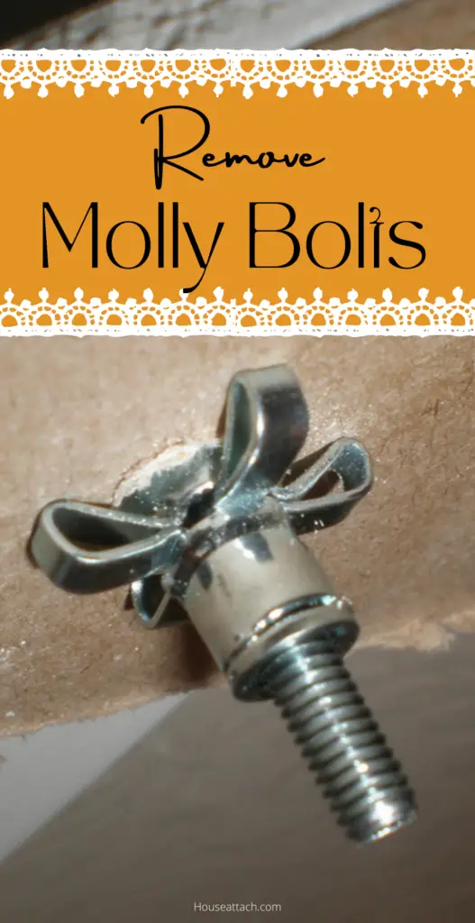 remove Molly Bolts