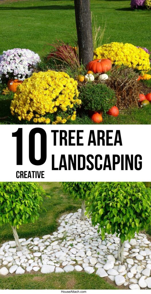 tree area landscaping