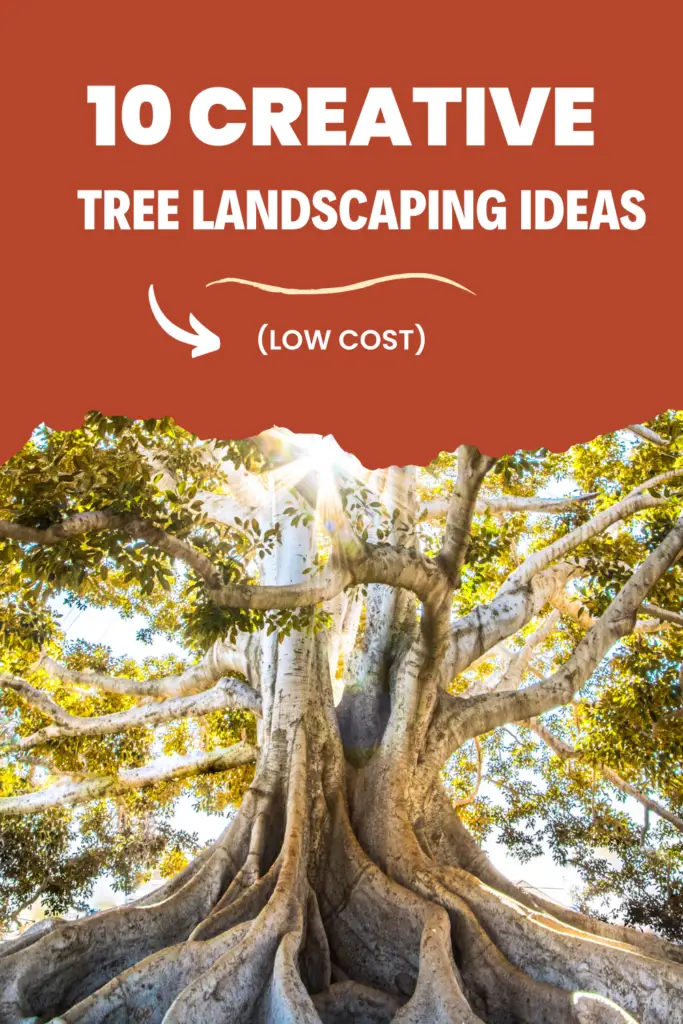 tree landscaping