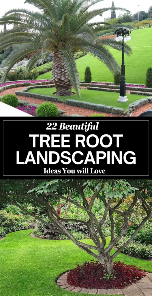 tree root landscaping 1