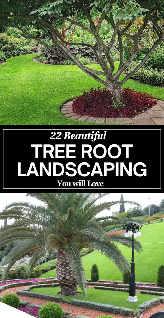 tree root landscaping
