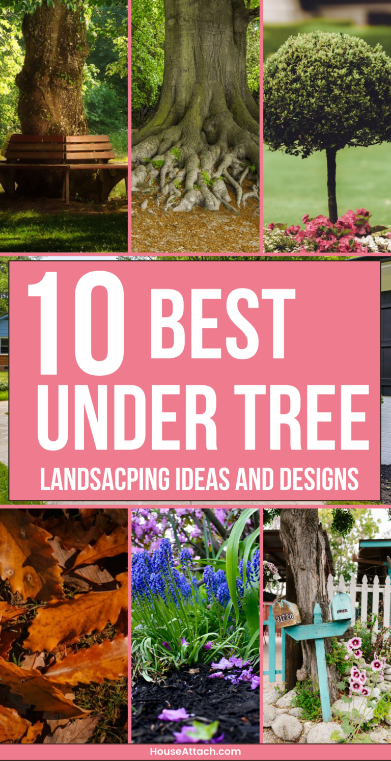 22 Creative Landscaping Ideas Around Tree Roots