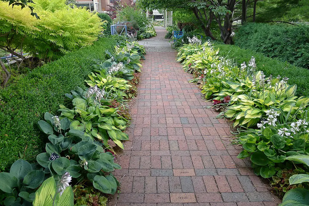 walkway and side garden
