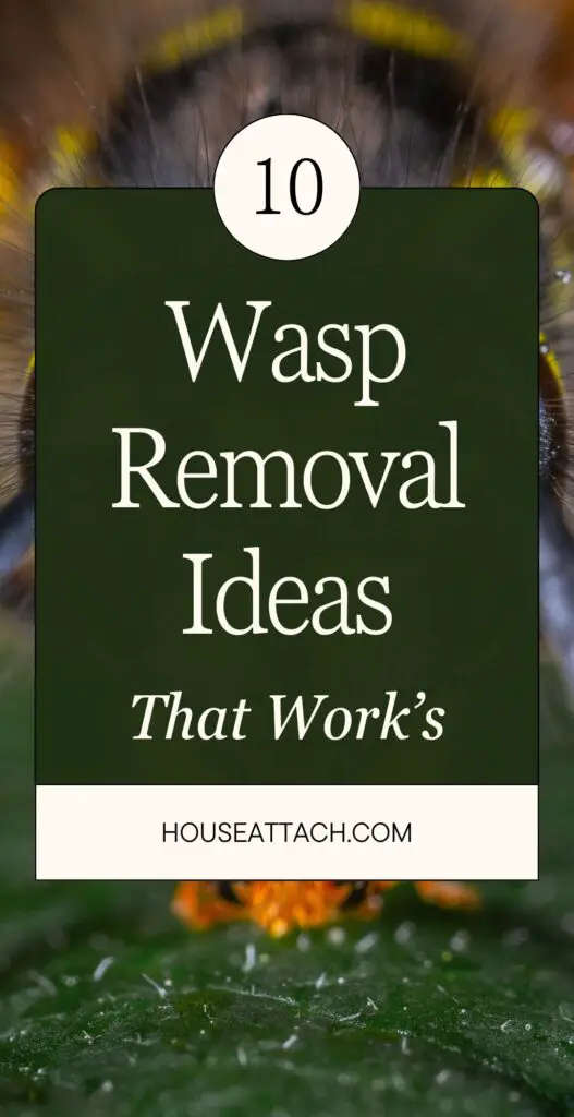 wasp removal ideas