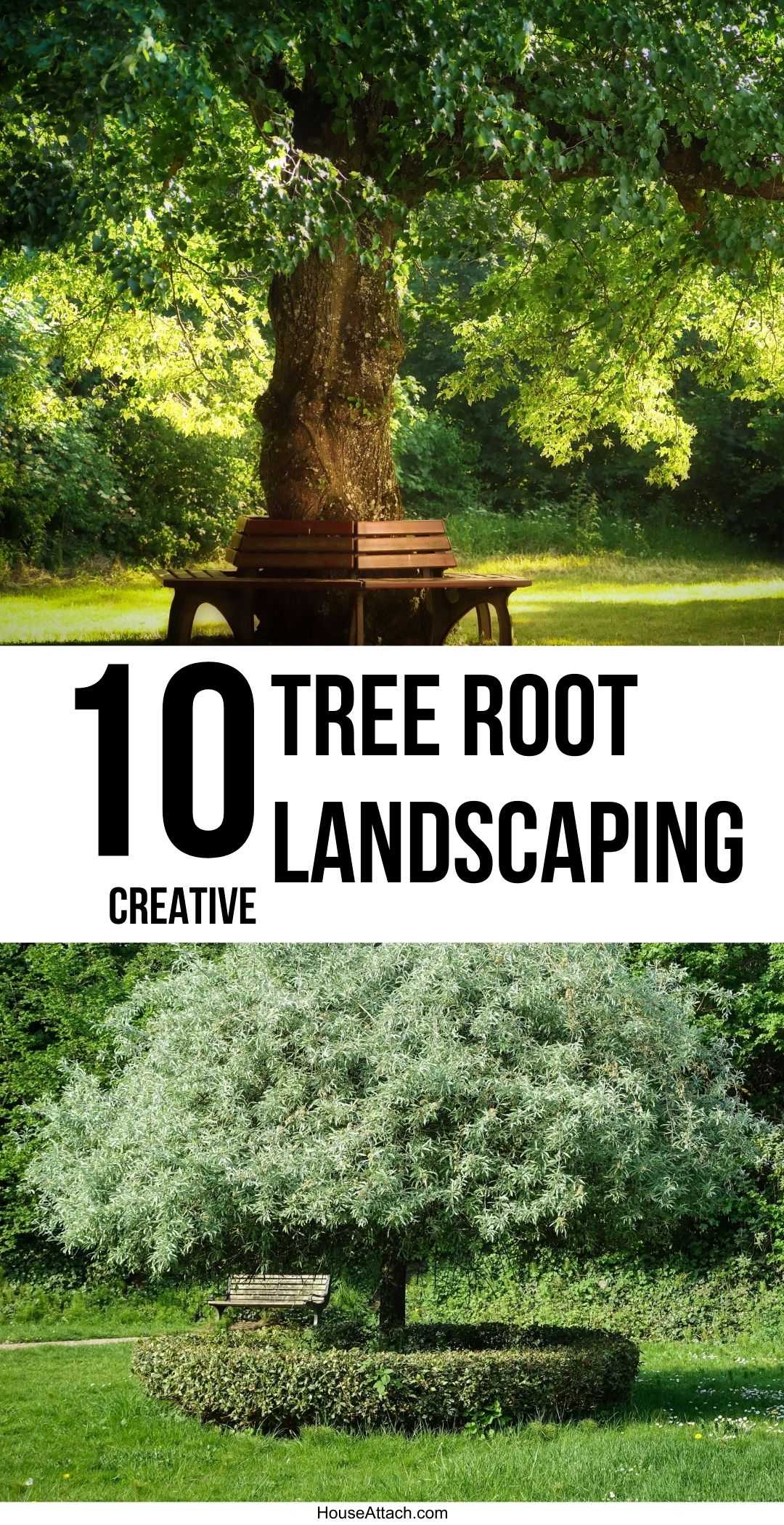 22 Creative Landscaping Ideas Around Tree Roots