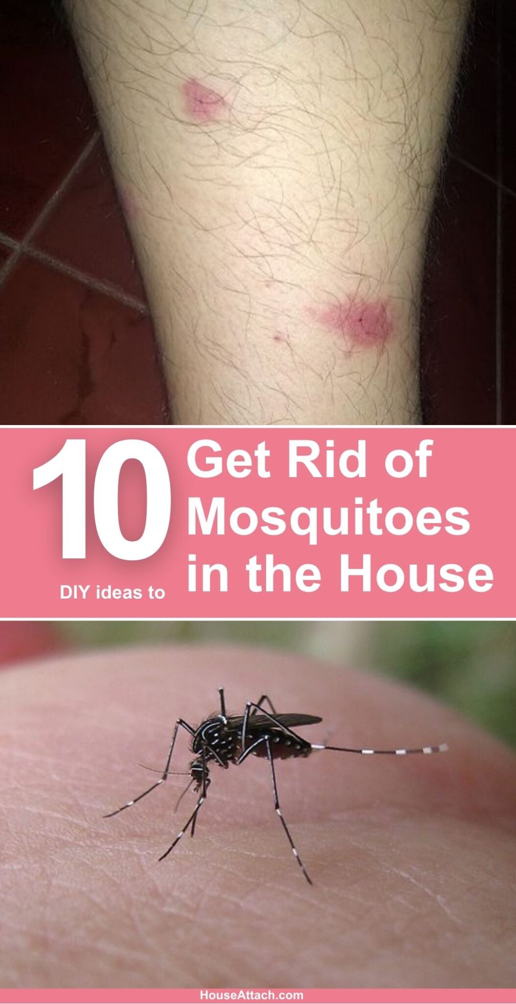 how-to-get-rid-of-mosquitoes-in-the-house