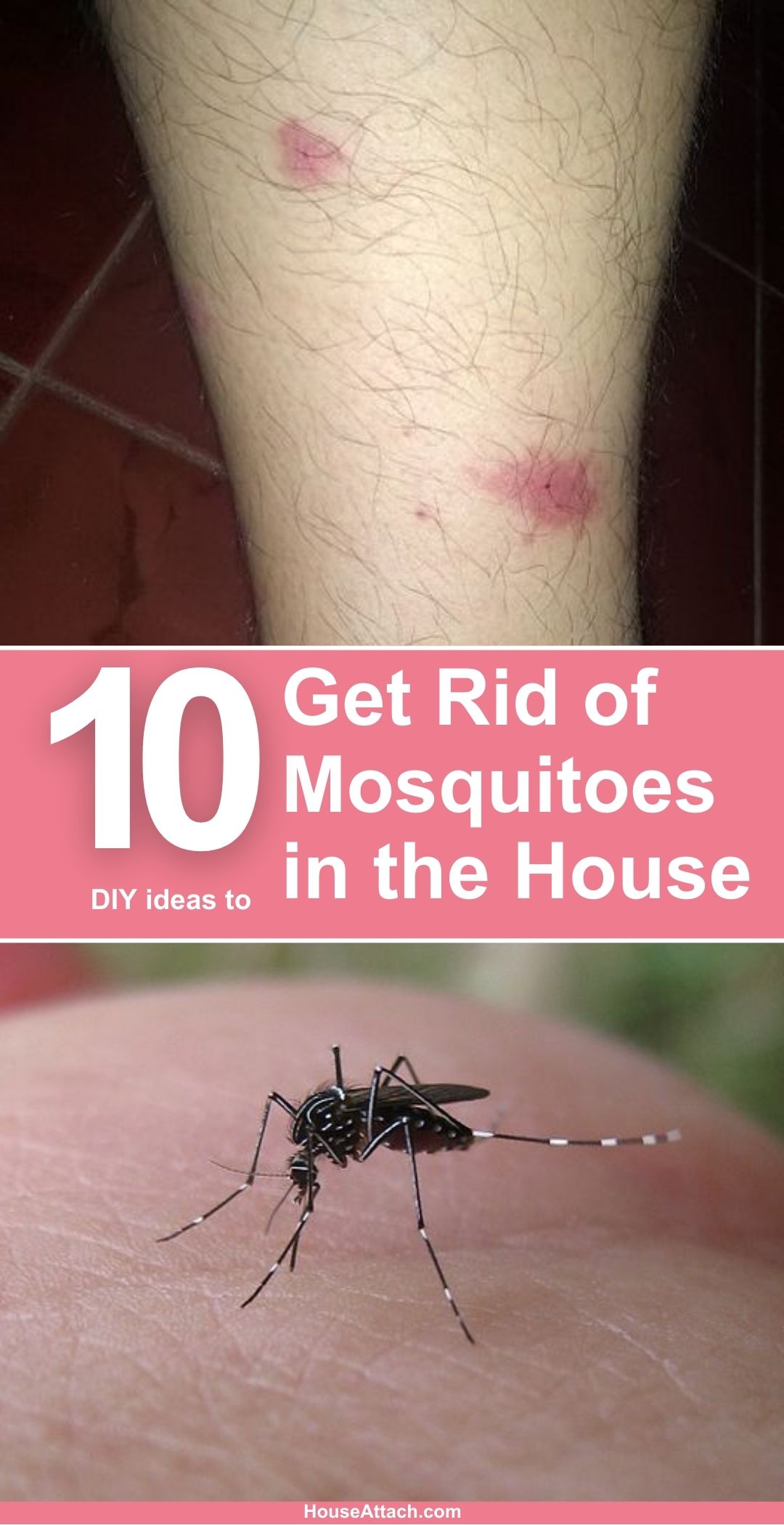 7-tips-to-get-rid-of-mosquitoes-for-your-outdoor-party