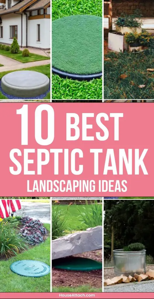 Septic tank Landscaping ideas