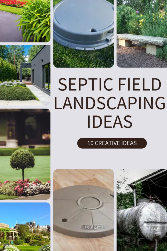 septic field landscaping ideas diy