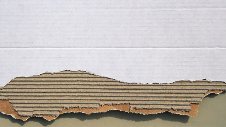 Build a Cardboard Termite Trap
