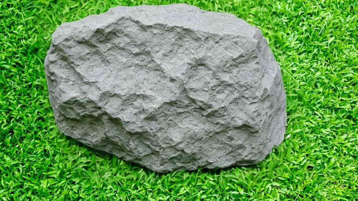 Buy a Fake Rock for Pump Cover