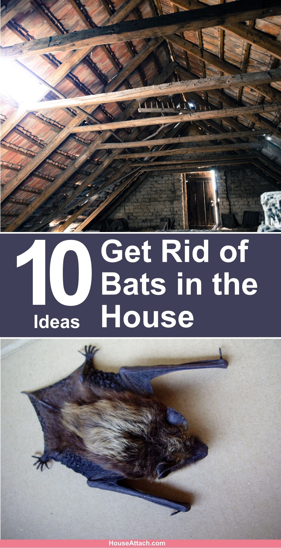 how to get rid of bats in your minecraft house