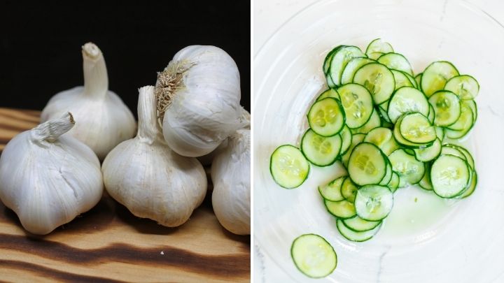 Spray Garlic or Cucumber as Liquid as pest control