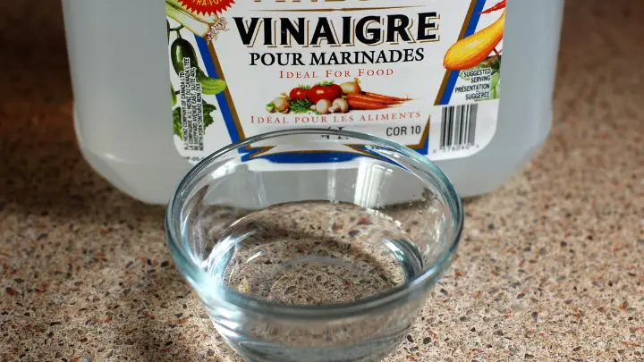 Use Vinegar or Baking Soda to kill spiders
