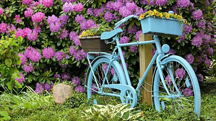 Use any Old Stuff as Your Flower Pot for Outdoor