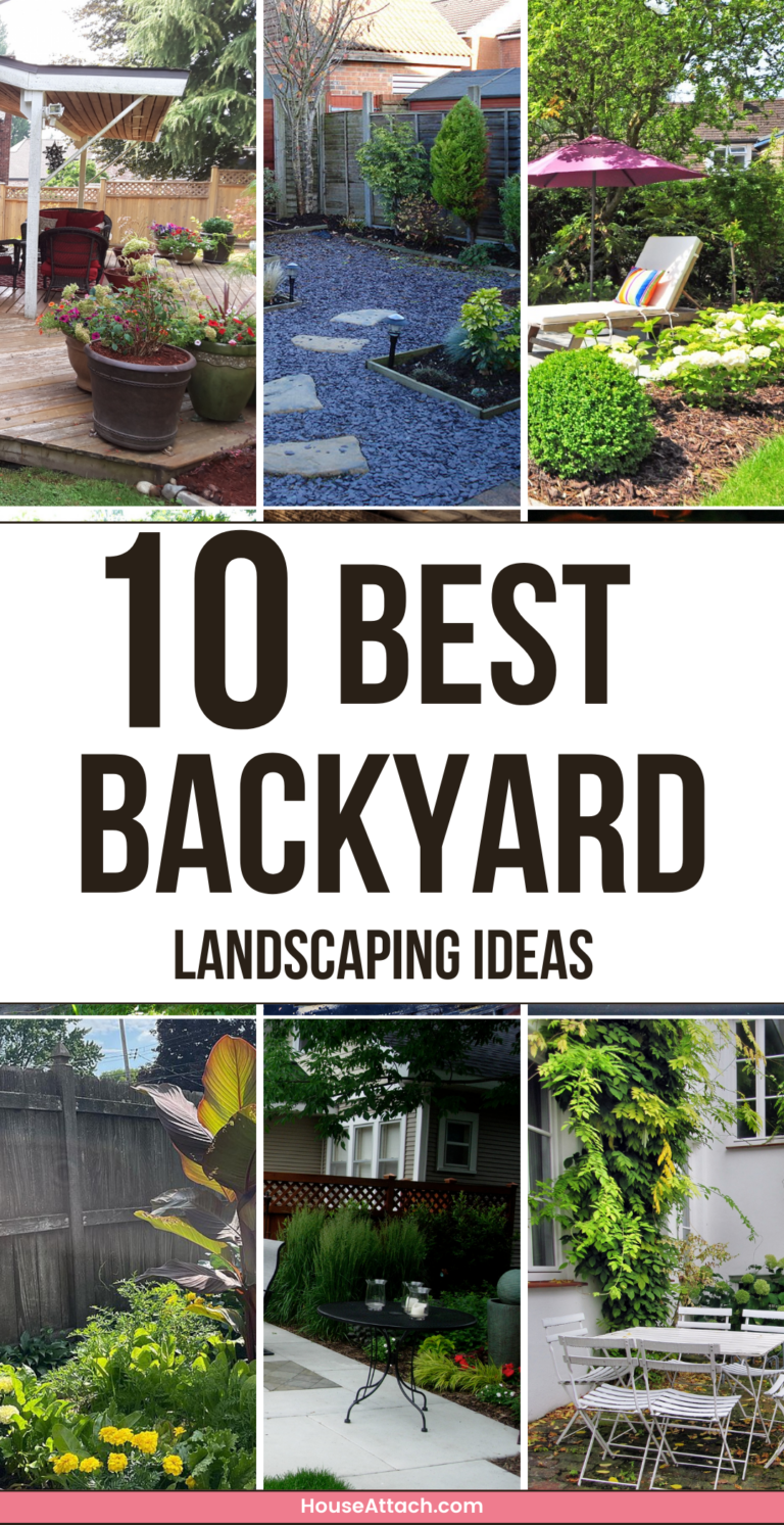 20 Best Backyard Landscaping Ideas