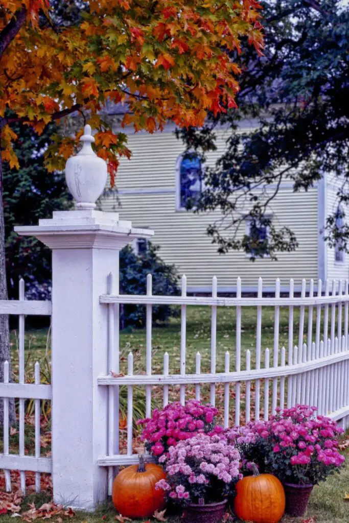 classy front yard fence