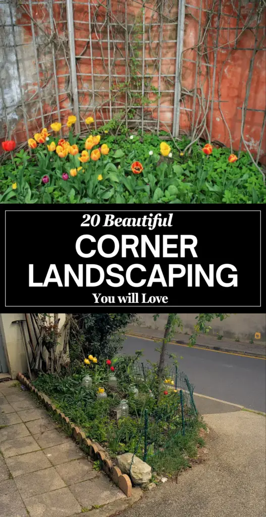 corner landscaping 1