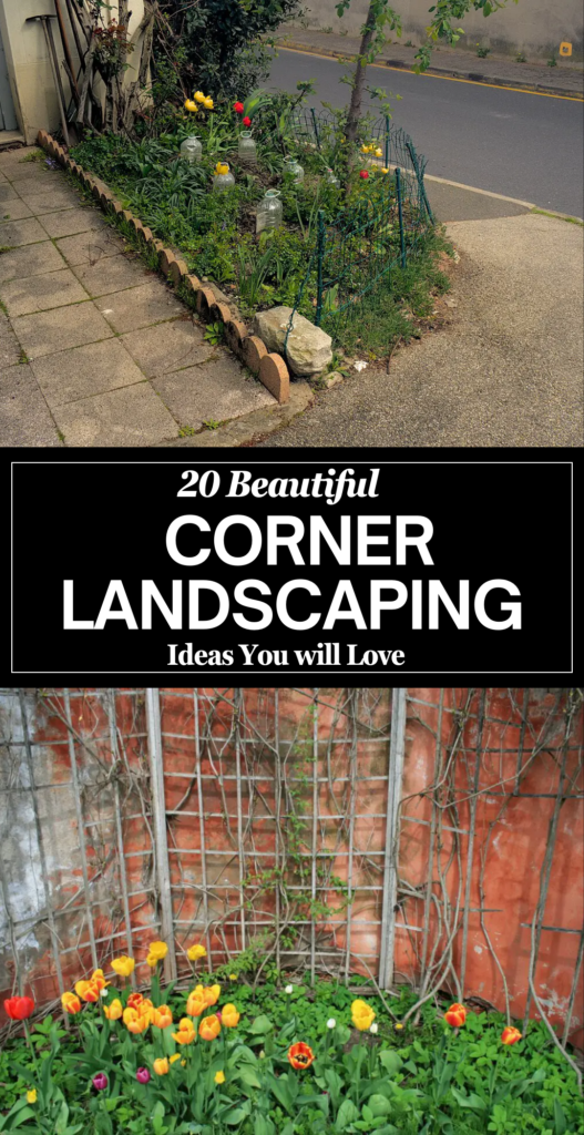 corner landscaping 3